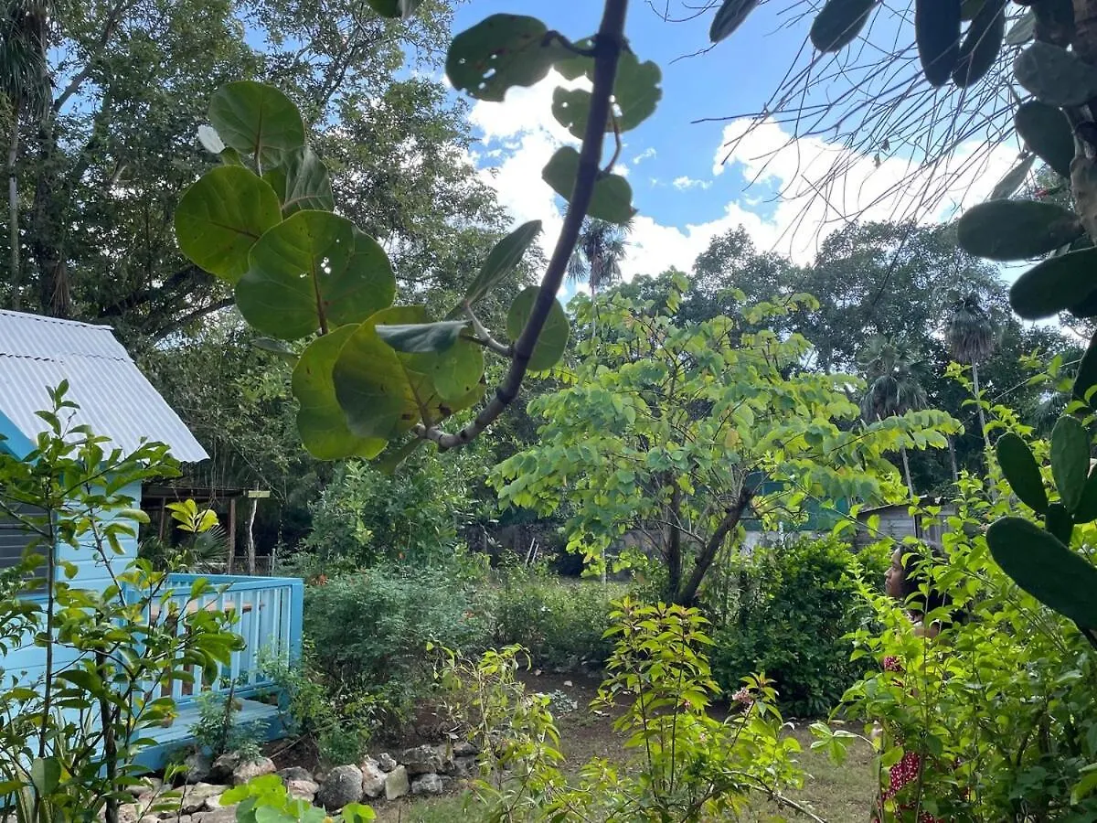 Casa vacanze Villa Garden House Negril - Ocean & Garden View Getaway
